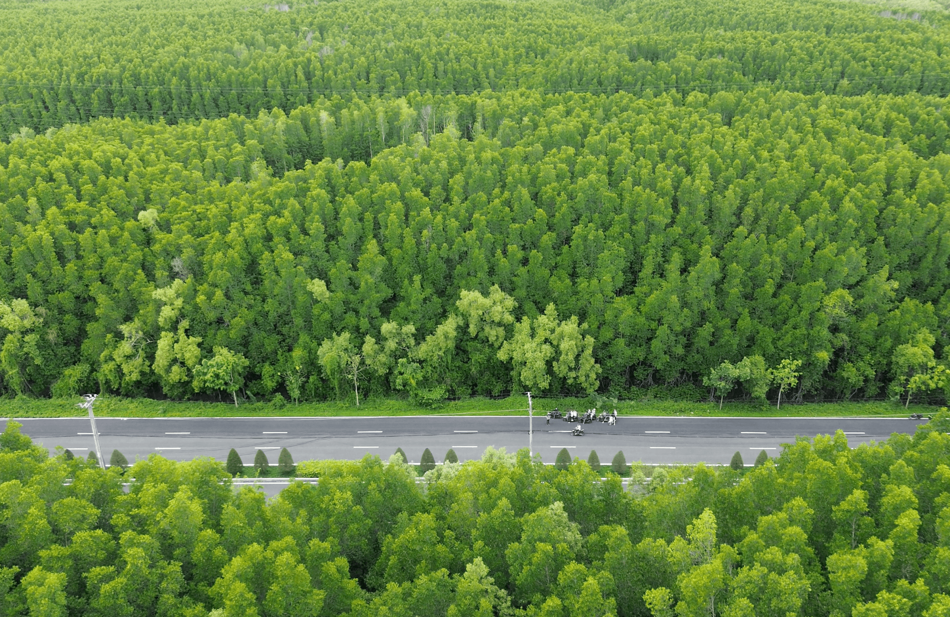 hovanhoa | gallery image