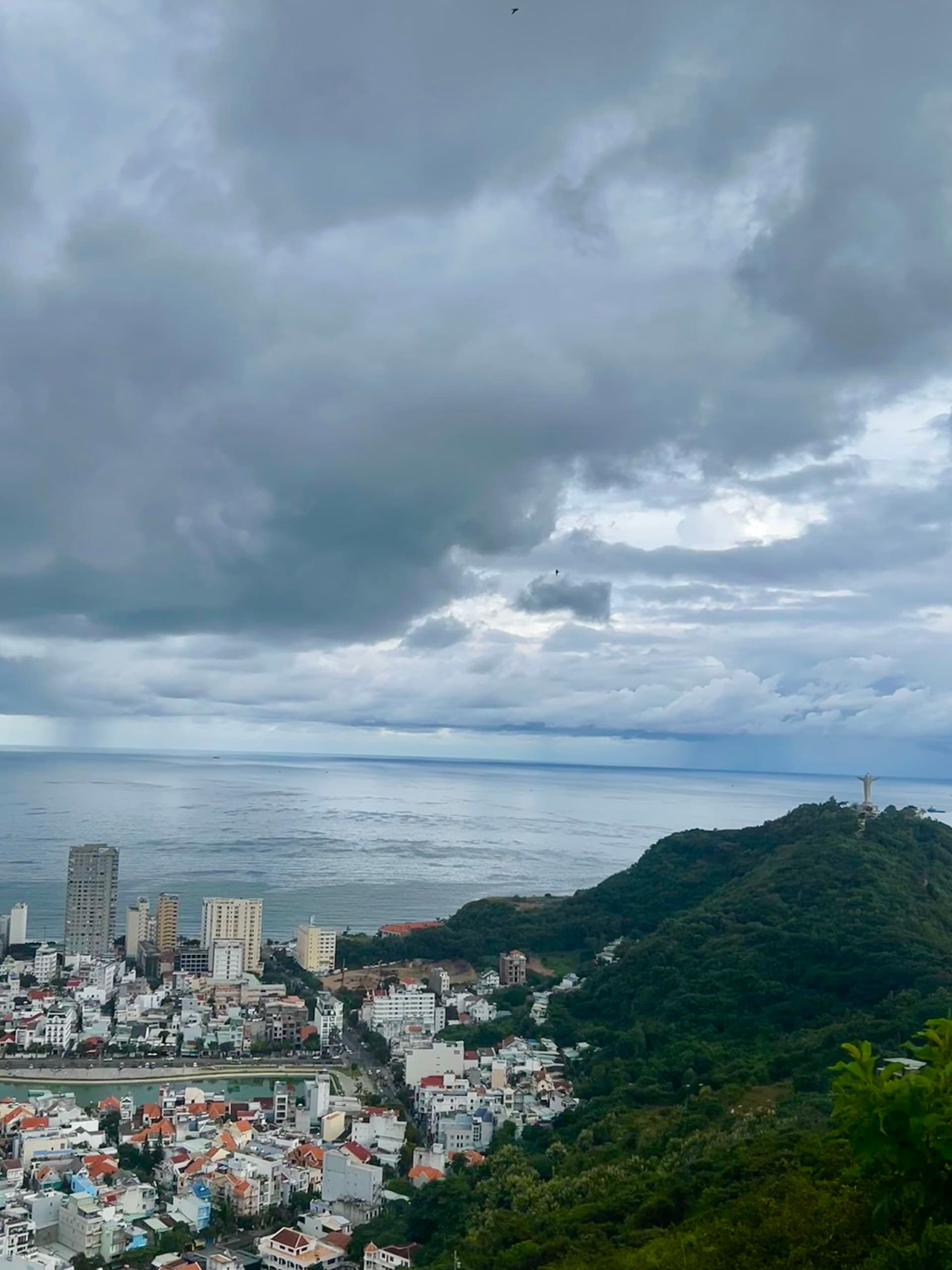 hovanhoa | gallery image