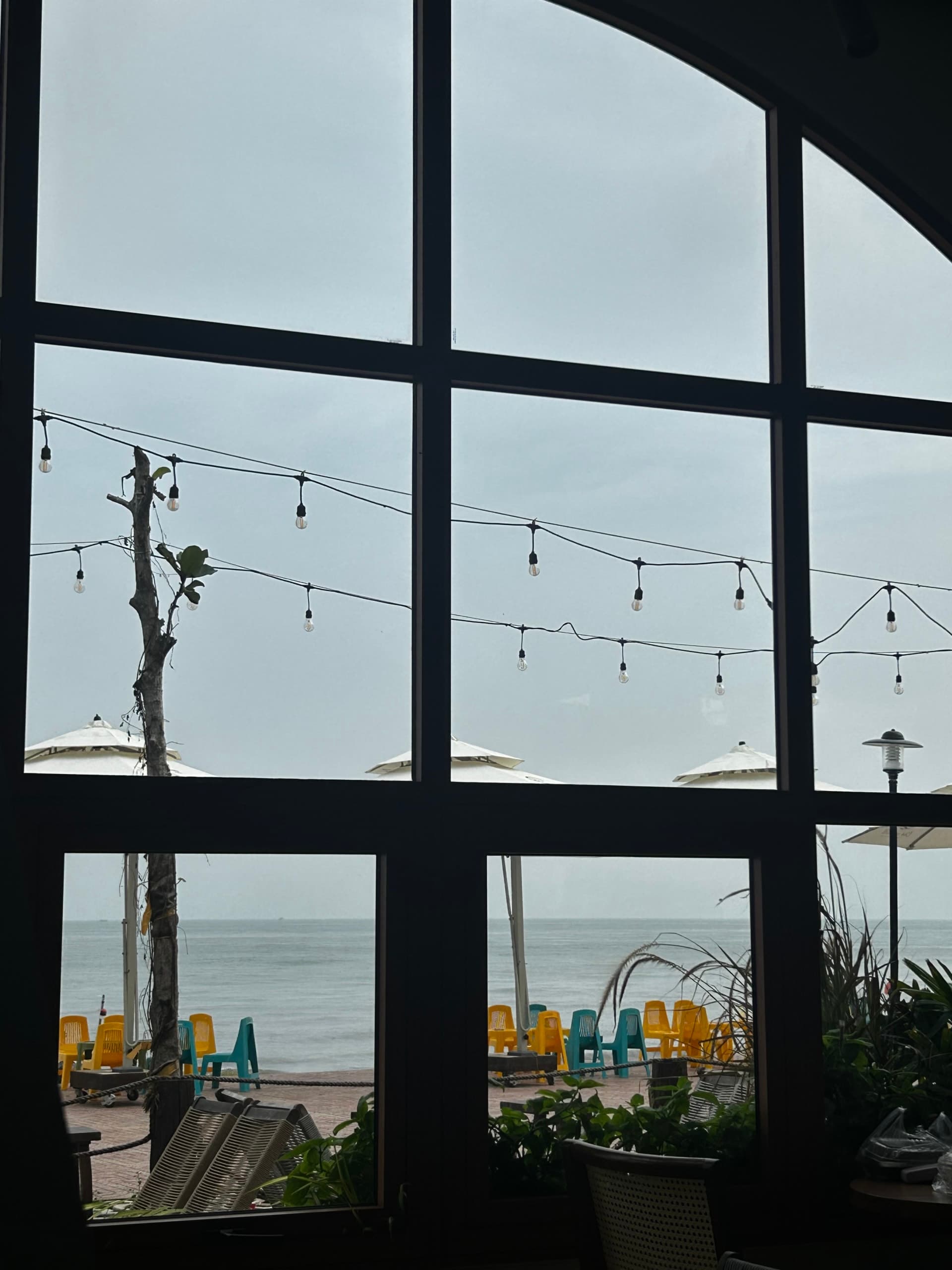 hovanhoa | gallery image