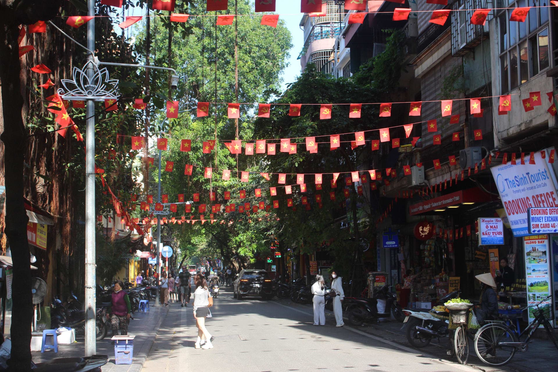 hovanhoa | gallery image