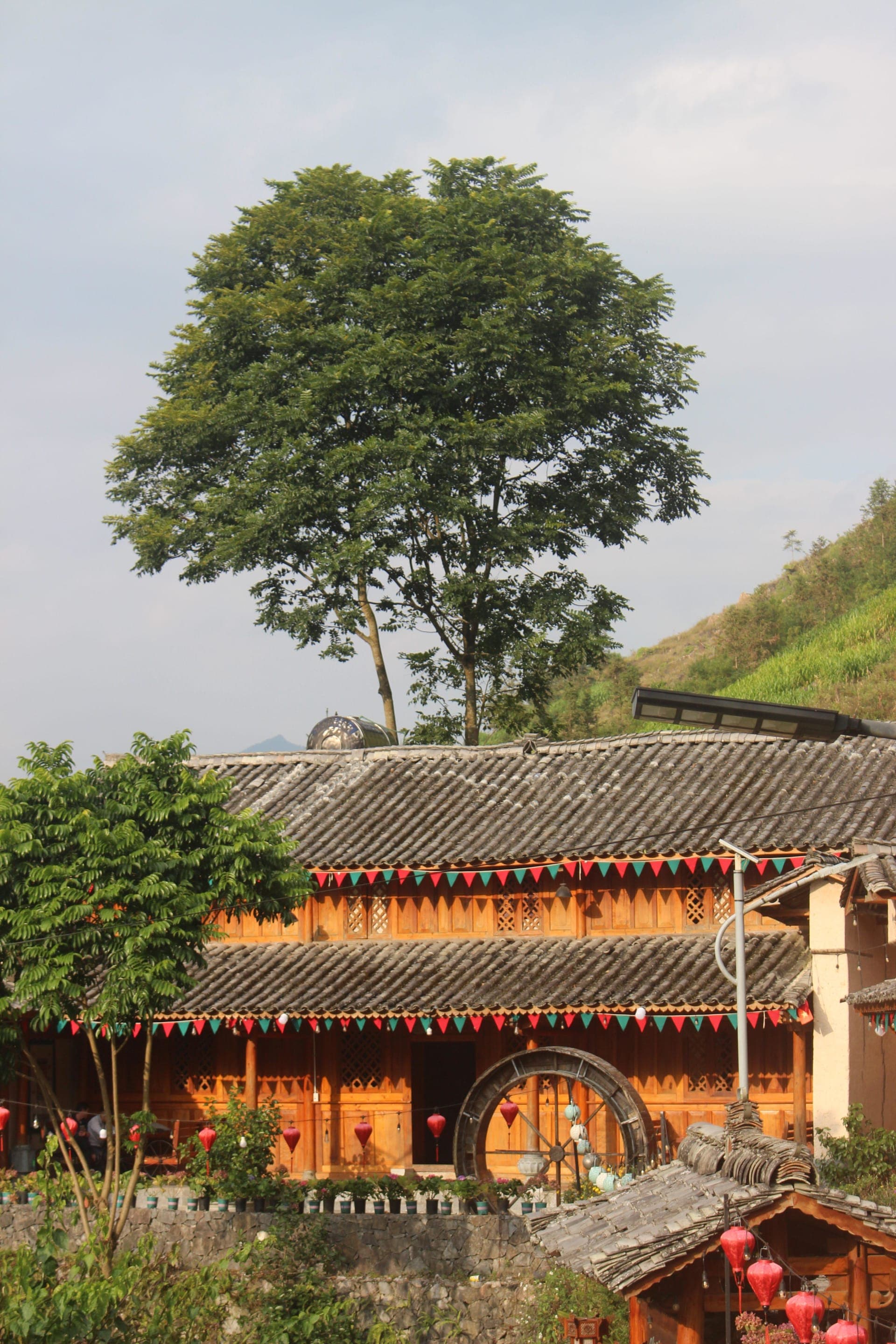 hovanhoa | gallery image