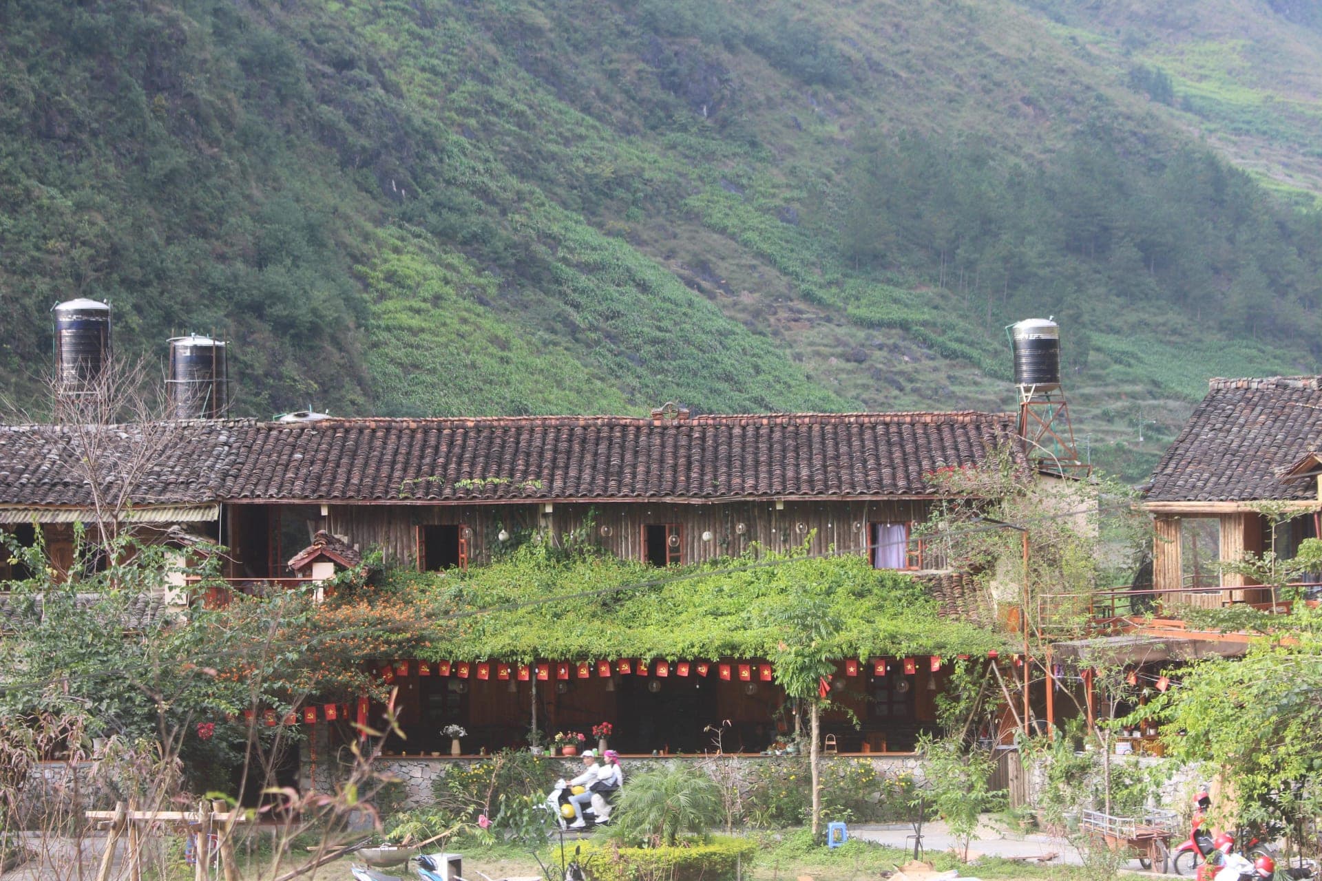 hovanhoa | gallery image