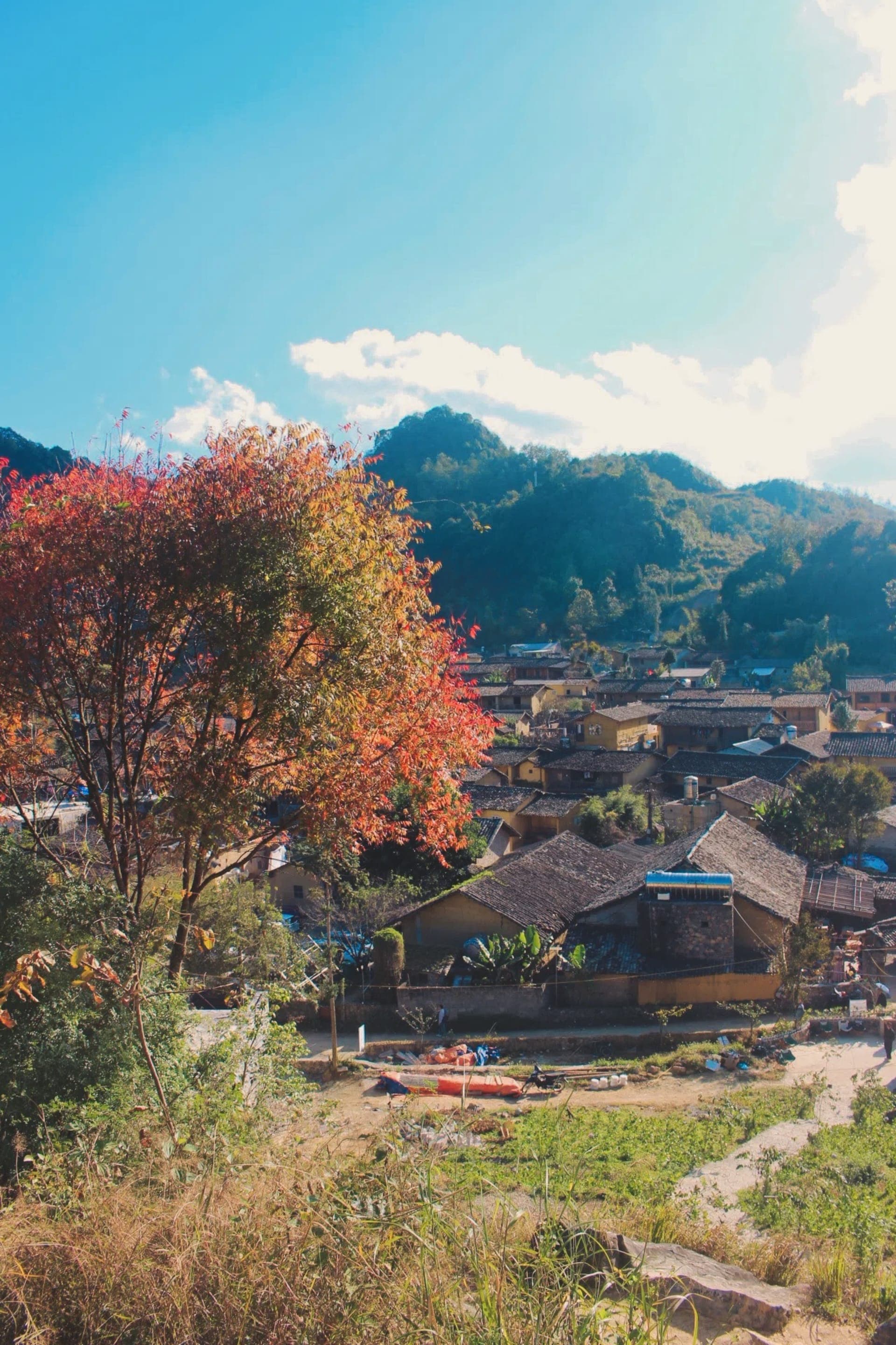 hovanhoa | gallery image