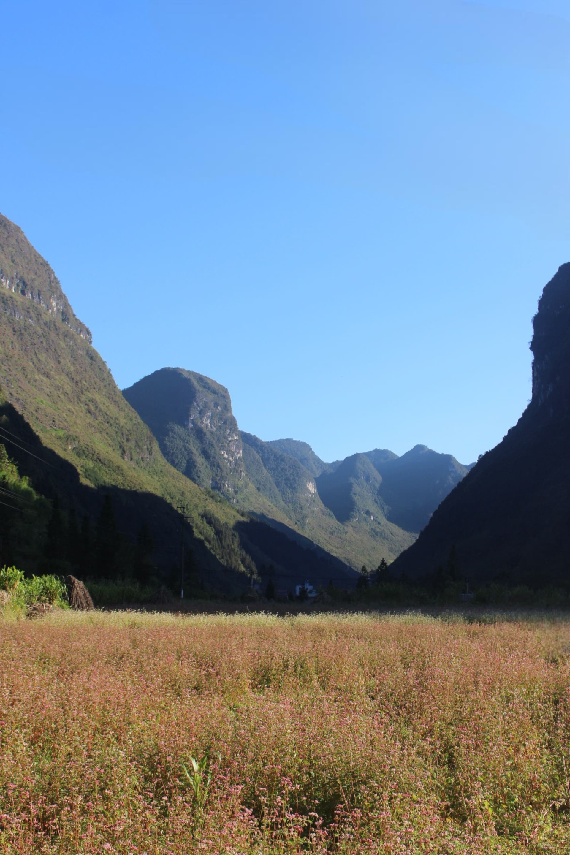 hovanhoa | gallery image