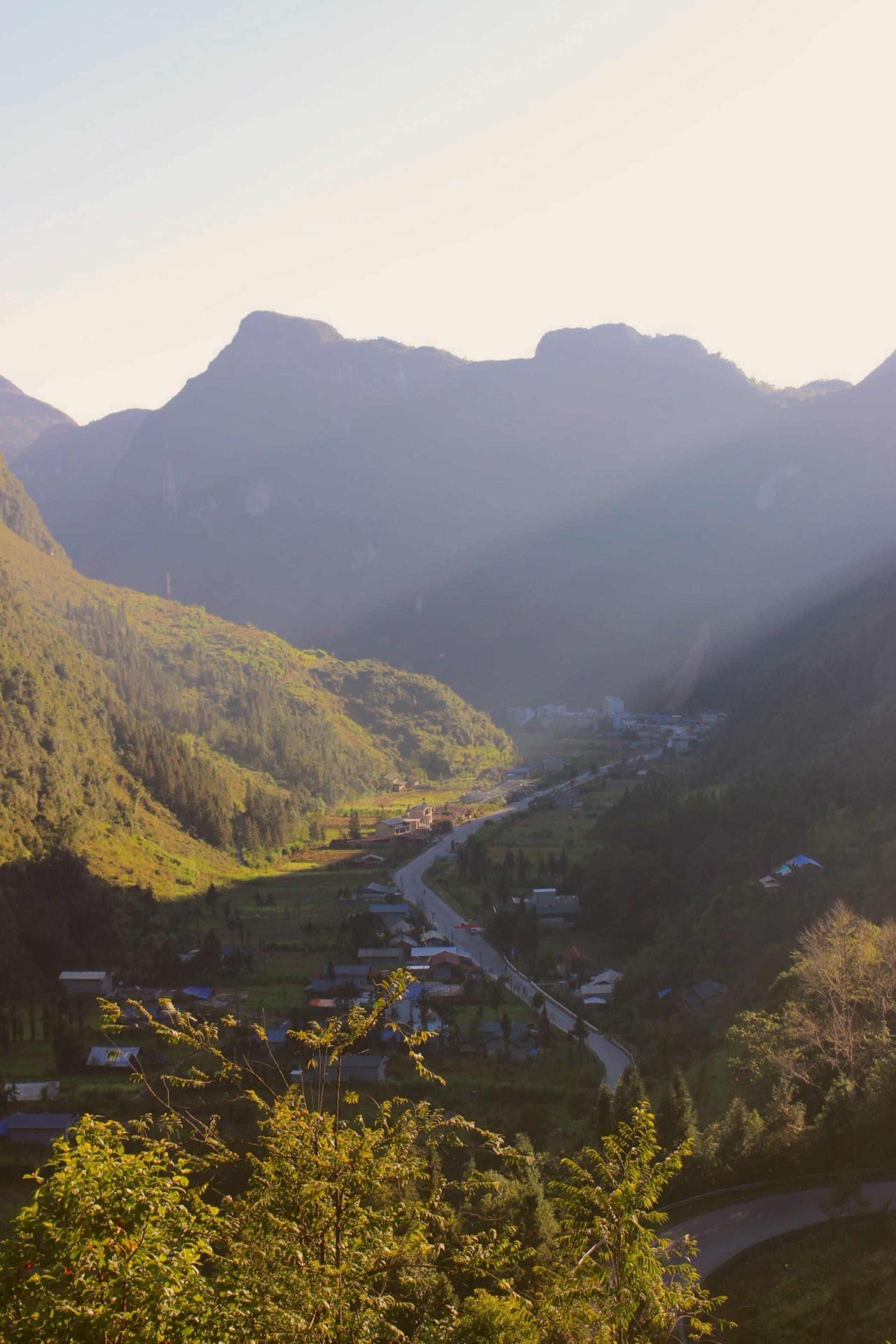 hovanhoa | gallery image