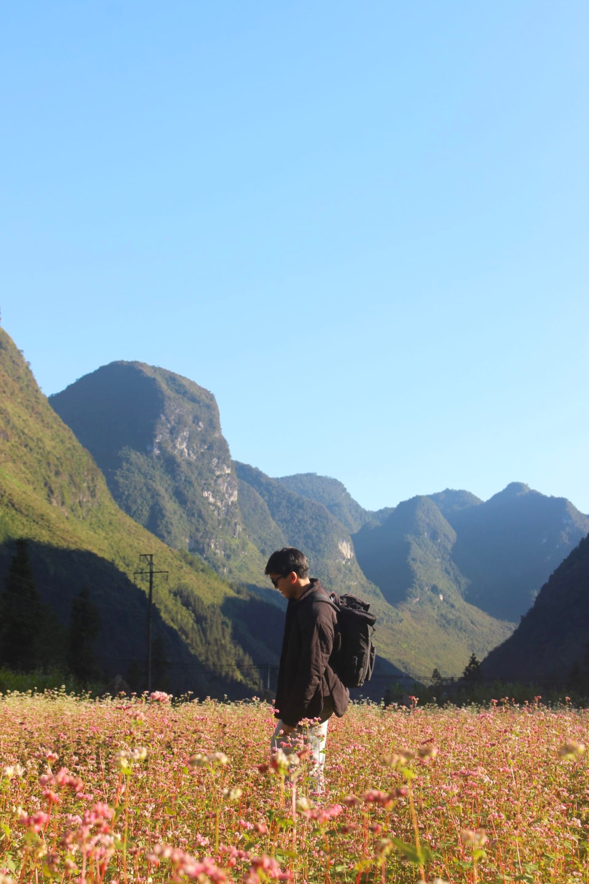 hovanhoa | gallery image