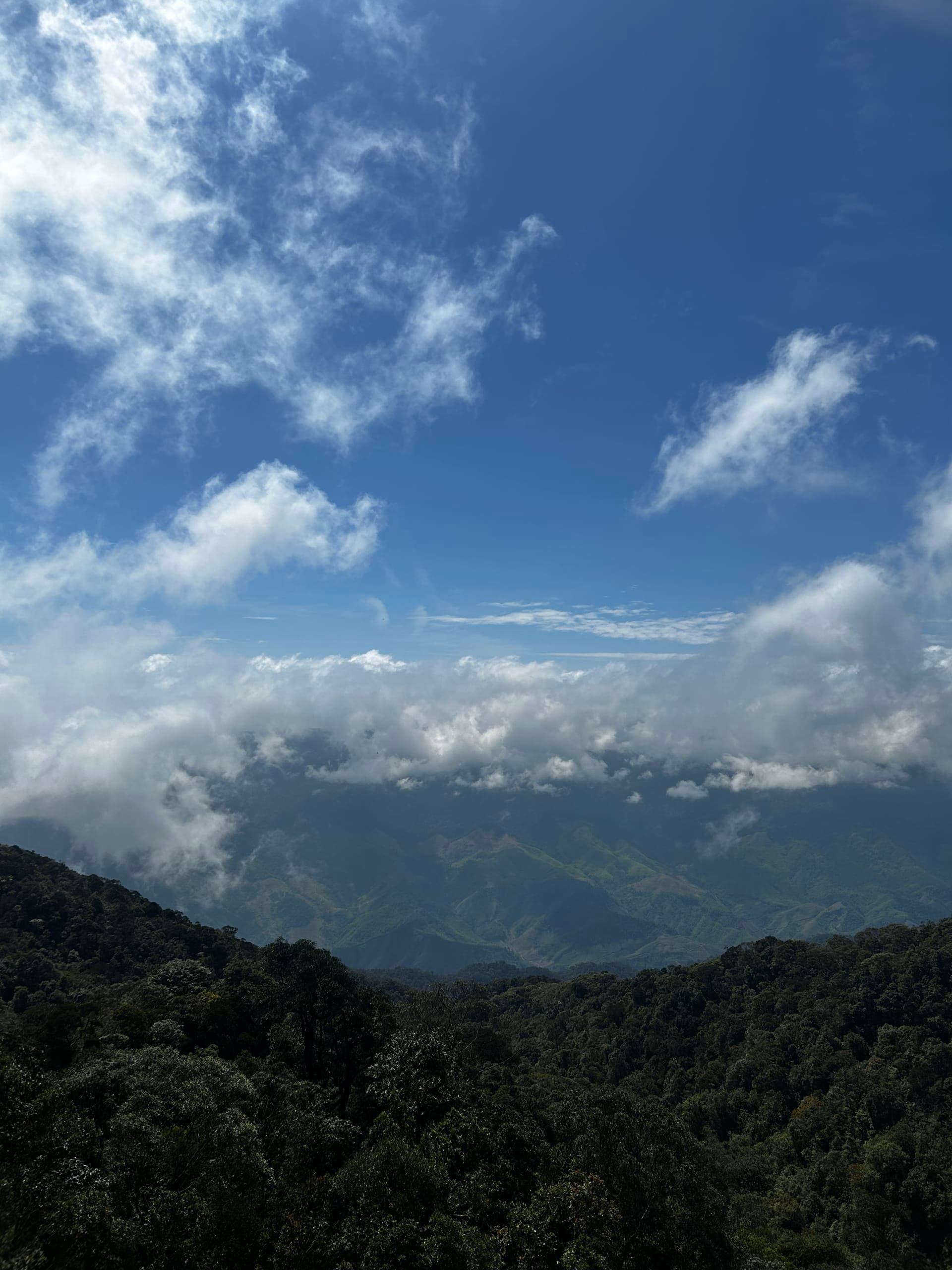 hovanhoa | gallery image